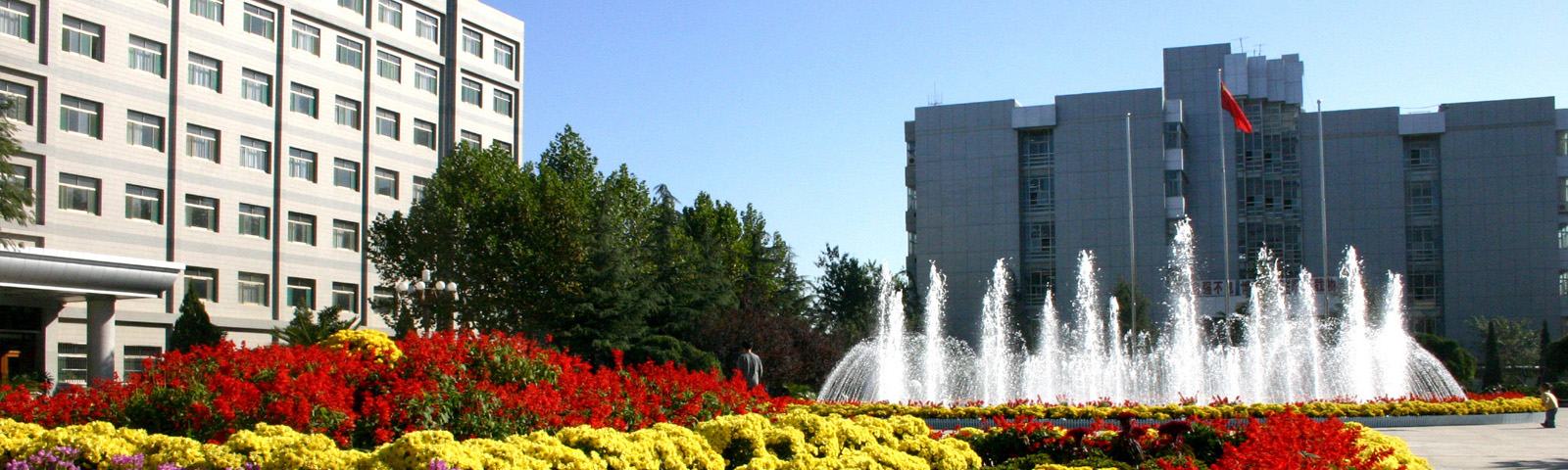 ɽ��ʡ����ѧϰ��ƾ������ھ��ص�ʵ����