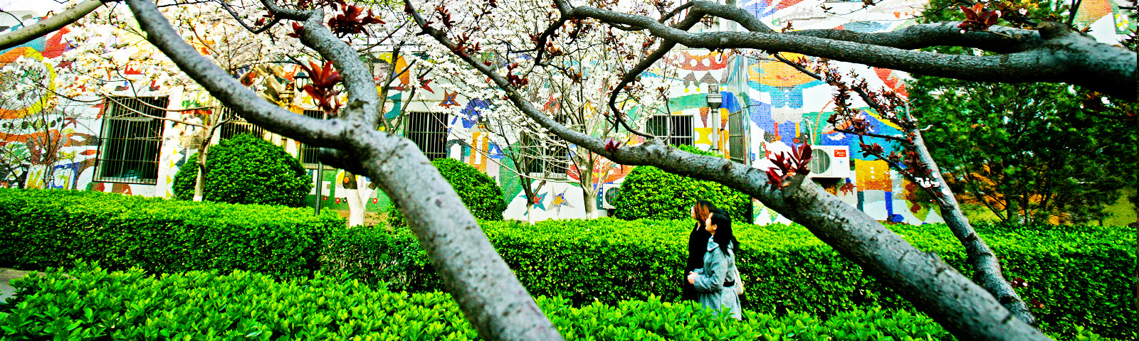 ɽ��ʡ��������ý����ʺ����о�����