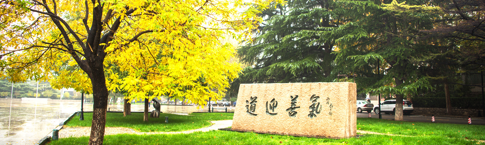 ɽ��ʡ����ý�弼���ص�ʵ����